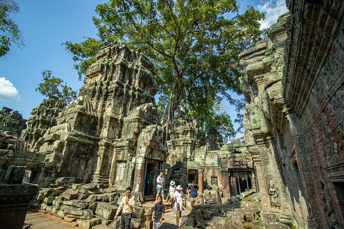 Private Guided Tour To Angkor Wat & Its Surrounding-Angkor Park - Ta Prohm and the roots: a finale that needs stamina