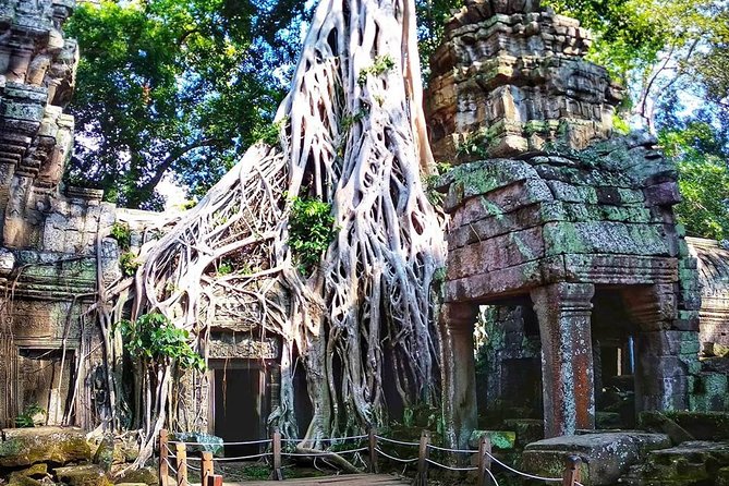 Private Guided Tours-Sunrise Angkor Wat, Ta Prohm, Bayon and more - Price and logistics: what the $78 really buys you