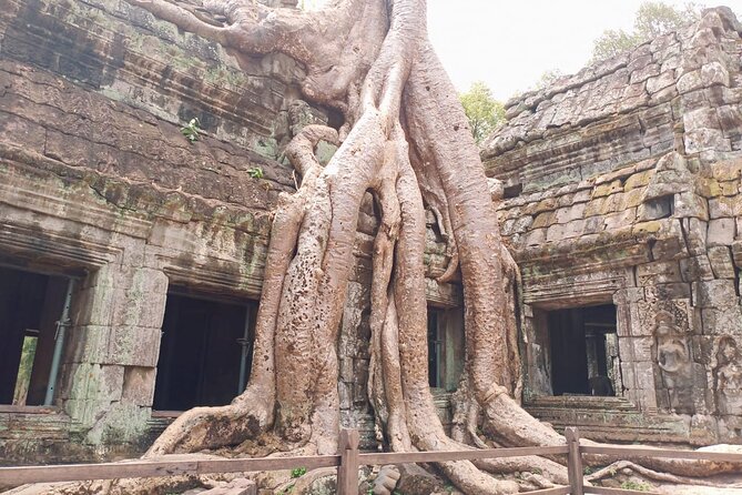 Private One Day Trip-The Best Experience in Siem Reap - Price and Value: $80 Plus Angkor Wat Admission