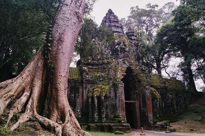 Private One Day Trip-The Best Experience in Siem Reap - Ta Prohm Temple: Movie Fame Meets Real-World Timing
