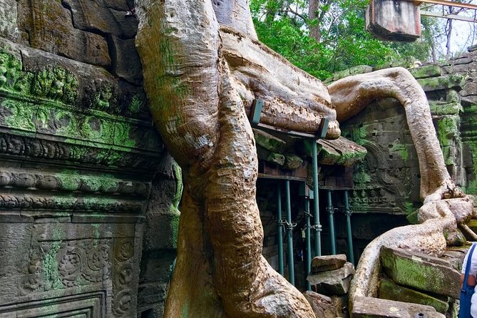 Private Siem Reap 4 Days: Full Exploration of the Angkor Complex - Day 4 Tonlé Sap and Kampong Phluk: the contrast that makes the trip complete