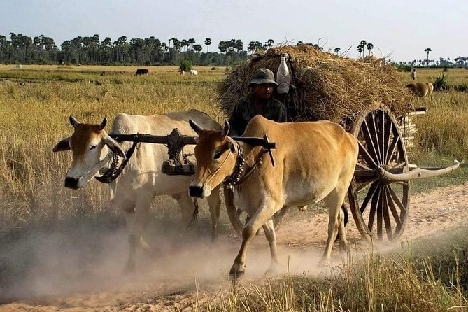Private Siem Reap Quad Bike Adventure - Key Things to Know Before You Go