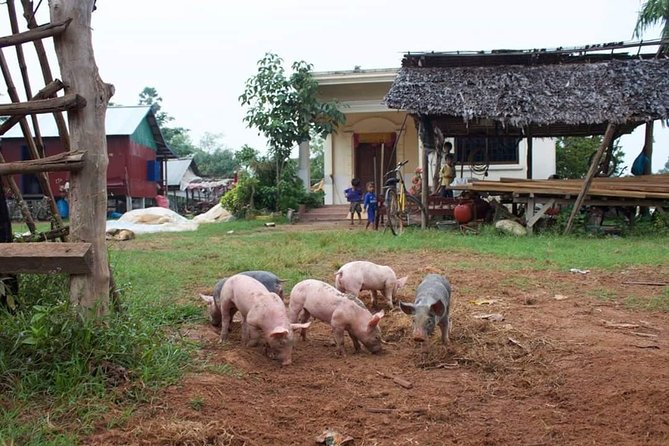 Private Siem Reap Quad Bike Adventure - Buddhist Temple and Monk Moments: Culture You Can See Up Close
