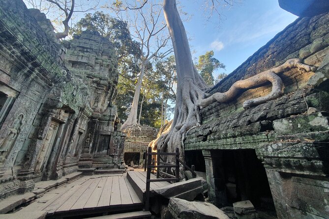Private Sunrise and Sunset Angkor Park Tour with Rest Mid-Day - Price and value: $68 tour plus $37 adult tickets (plus meals)