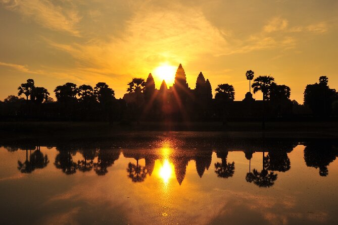 Private Sunrise Angkor Wat Tour with pickup from your hotel - Ta Prohm (Tree Temple): Roots, Stone, and Jungle Drama