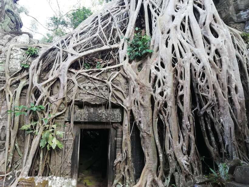 Private Sunrise Angkor Wat Tour - Entering Angkor Wat With Skip-the-Line Strategy