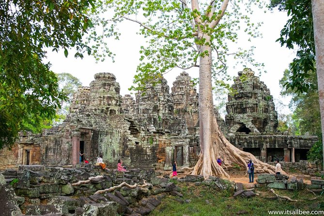 Private sunrise 'small tour' of Angkor Wat with car or van & Guide - Stop 3: Ta Prohm, the Tomb Raider temple with real jungle drama