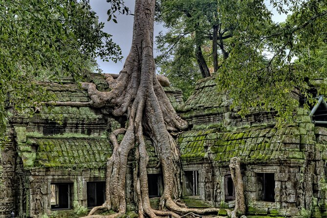 Private sunrise tour to Angkor Wat & other highlights with Professional Guide. - Entering Angkor Wat for sunrise: early timing and a guided path