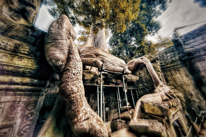 Private sunrise tour to Angkor Wat & other highlights with Professional Guide. - The guide experience: English explanations, smart pacing, and real personality