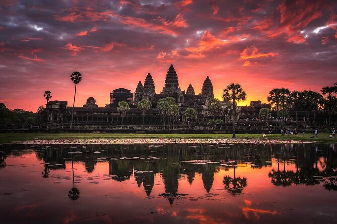 Private Temples Guided Tour (Angkor Wat, Ta Prom & Angkor Thom) - The “tree temple” move: Ta Prohm without the chaos