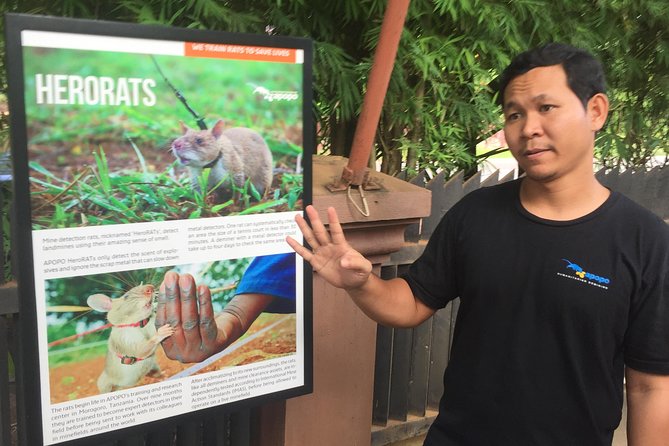 Private Tour: HERO Rats & Angkor National Museum - Timing and transport: a cool car matters in Siem Reap