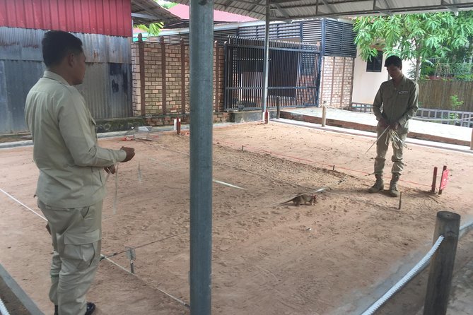 Private Tour: HERO Rats & Angkor National Museum - Possible trade-offs: heavy subject matter and schedule dependence