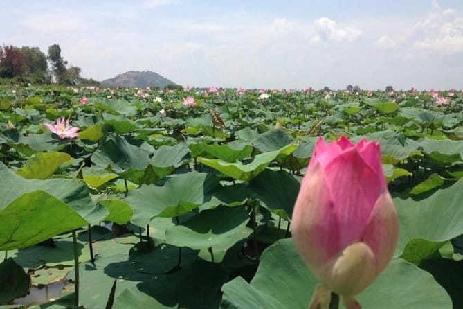 Private Tour Prek Toal Bird Sanctuary Off Beaten Track - Getting from Siem Reap to Prek Toal without the usual hassle
