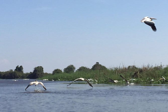Private Tour Prek Toal Bird Sanctuary Off Beaten Track - After lunch: schools, church, pagoda, and a fuller picture