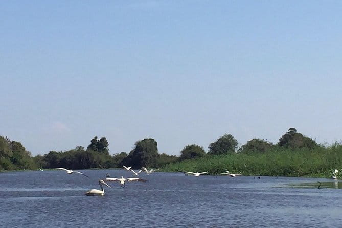 Private Tour Prek Toal Bird Sanctuary Off Beaten Track - The harbor-to-birds boat ride through floating villages
