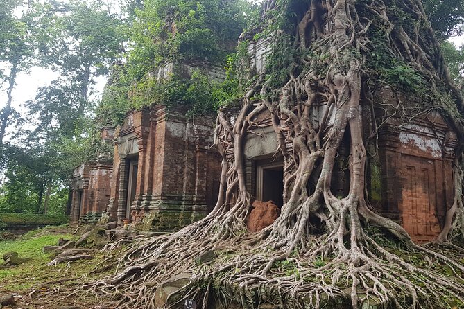 Private Tour to Beng Mealea Jungle Temple and Koh Ker - The rural village, market, rice fields, and Khmer house stops