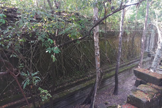 Private Tour to Beng Mealea Jungle Temple and Koh Ker - What you’re really paying for: price, entry fees, and lunch