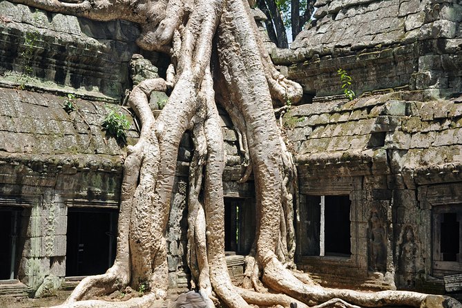 Private Tuk Tuk Tour to Angkor Wat and Small Circle with Two Extras - Morning light at Angkor Wat’s East Gate (then again at sunset)