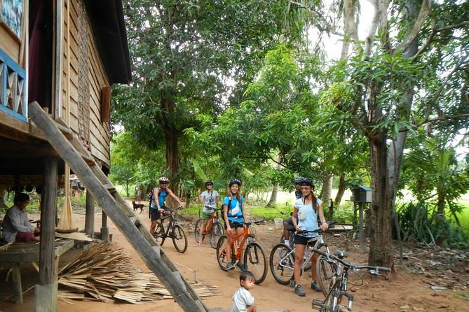Rice Fields & Rural Villages Tour - Who This Tour Suits (and Who Might Want a Different Option)