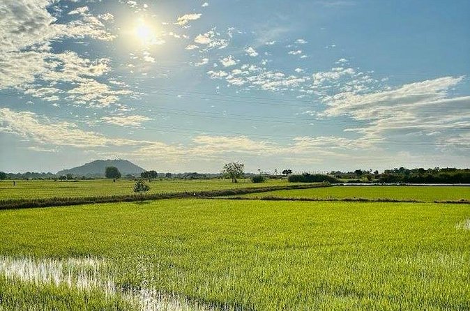 Rural Countryside Experience Tour in Siem Reap - What’s included (and what you’ll likely need to add)