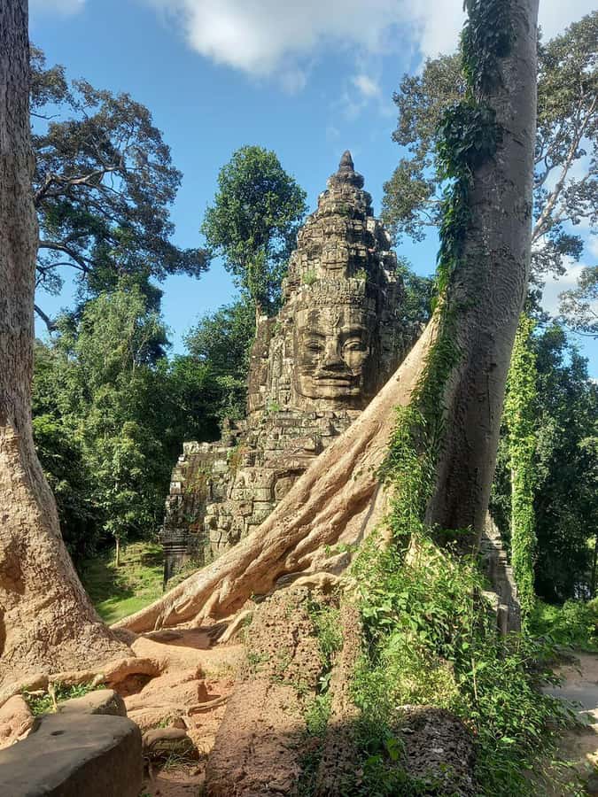 Shared day tour with Spanish-speaking guide at Angkor Temple. - Angkor Thom: Entering Through the South Gate Causeway
