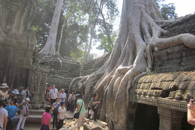 Shared Tour to Angkor Wat, Bayon and Ta Prohm Temples - Planning Your Temple Day: Tickets, Dress Code, and What to Bring