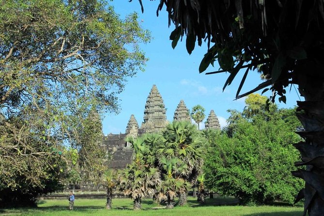 Shared Tour to Angkor Wat, Bayon and Ta Prohm Temples - Stop 4: Ta Prohm Tree Temple, the Tomb Raider Look, in One Hour