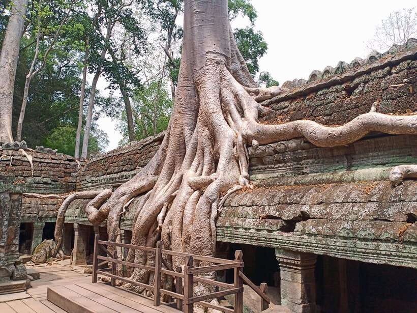 Sharing Trip to Angkor Temple with sunset - Angkor Wat: the symbol temple with Hindu-to-Buddhist layers