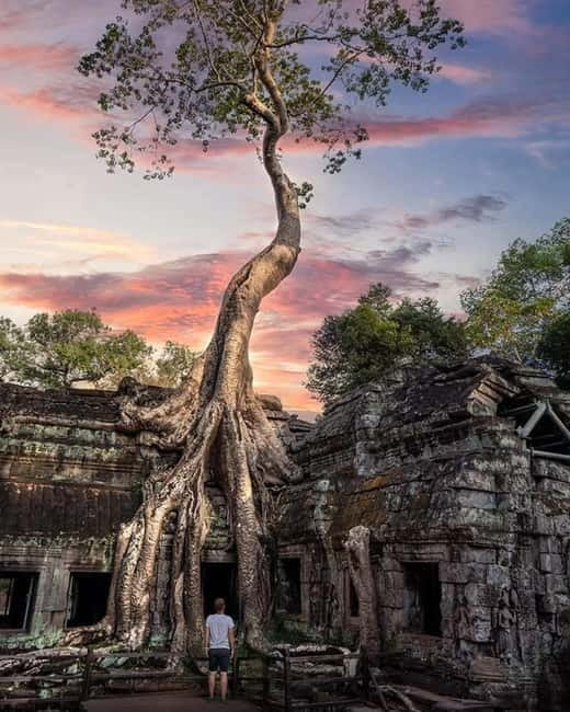 Siem Reap: 2-Day Private Angkor Wat & Angkor Temples Tour - Day 1 Small Circuit: the Inner Rings, the faces, and Ta Prohm’s drama