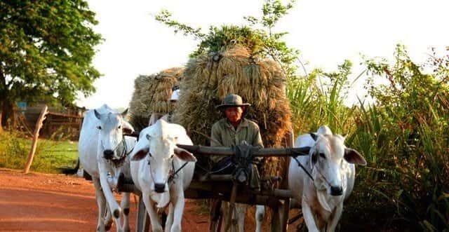 Siem Reap: 3-Hour Ancient Trails Motorbike Tour - Safety training first: how the tour handles beginners