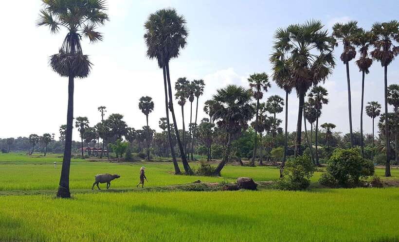 Siem Reap: 6-Hour Easy Rider Motorbike Tour - From Pickup to Safety Briefing: How the Day Gets You Ready