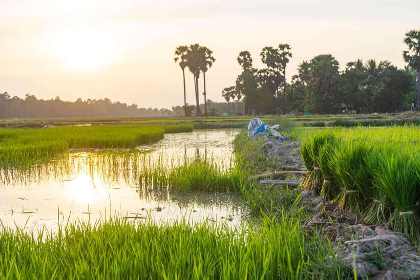 Siem Reap: Afternoon Cooking Class & Village Tour - The recipe book: your best souvenir for cooking at home