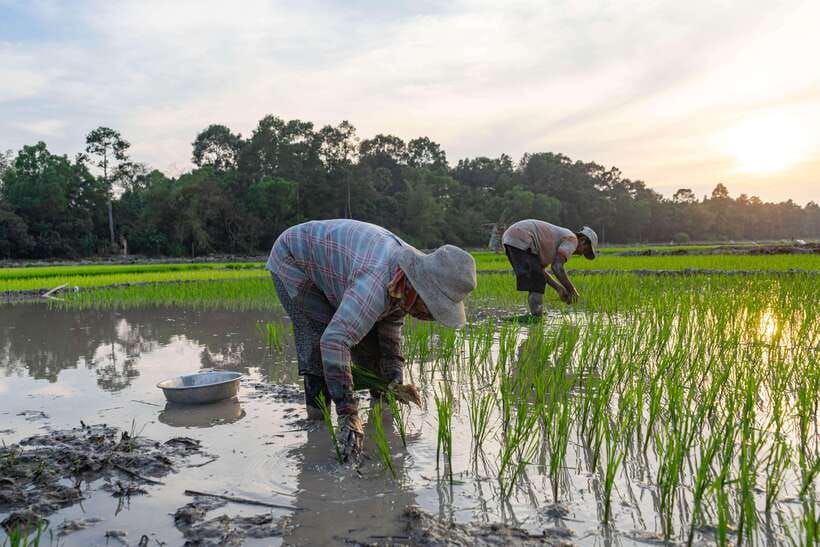 Siem Reap: Afternoon Cooking Class & Village Tour - The market stop you’ll be glad you didn’t skip