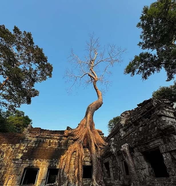 Siem Reap: Angkor 1-Day Private Tour with Sunset or Sunrise - Key Highlights You’ll Actually Care About