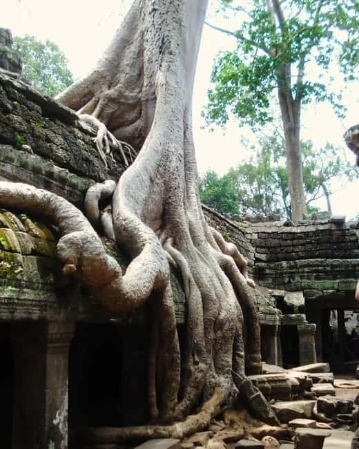 Siem Reap: Angkor 1-Day Private Tour with Sunset or Sunrise - Practical Tips for a Smoother Day at Angkor