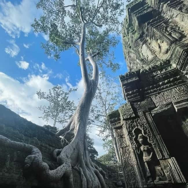 Siem Reap: Angkor 1-Day Private Tour with Sunset or Sunrise - Should You Book This Private Angkor Tour?
