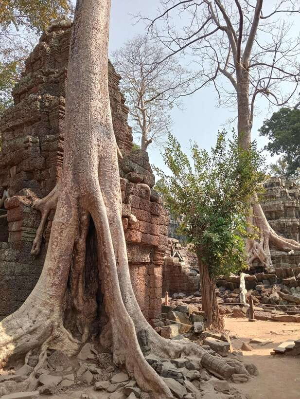Siem Reap: Angkor Full-Day Group Tour with Japanese Guide - Key things to know before you go
