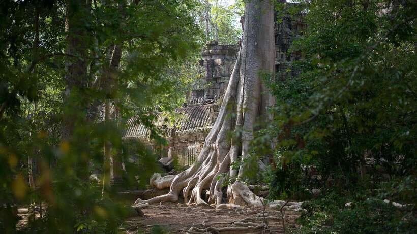 Siem Reap: Angkor Temples Off-Track Bicycle Tour - Lunch in the jungle: break time that resets your energy