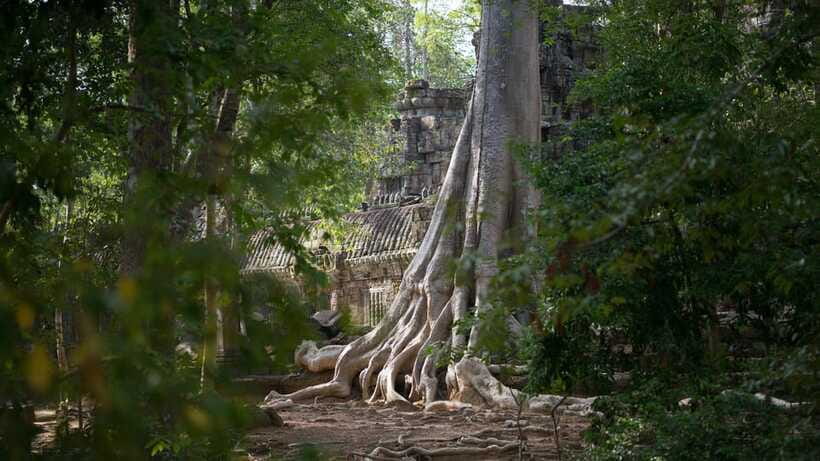 Siem Reap: Angkor Temples Off-Track Bicycle Tour - Who this bike tour suits (and who should skip it)