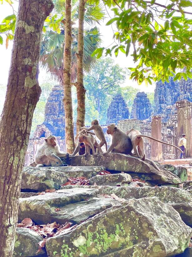 Siem Reap: Angkor Wat Private full Day Tour - Who This Tour Suits Best