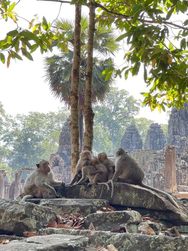 Siem Reap: Angkor Wat Private full Day Tour - Lunch at Your Own Expense Before Ta Prohm