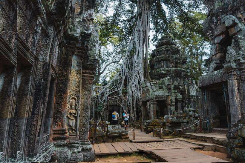 Siem Reap: Angkor Wat Small-Group Full Day Tour and Sunset - Angkor Wat in late-day light: jungle views and the icon that still hits