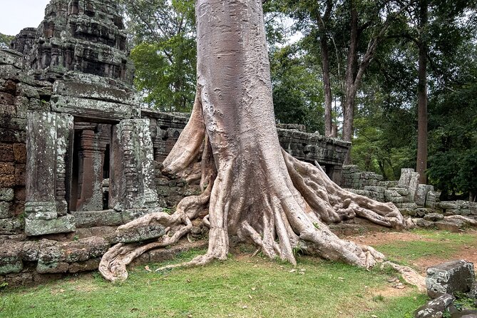 Siem Reap: Angkor Wat Sunrise Bike Tour & Jungle Breakfast - Bayon Temple: Big Faces, Smart Stops