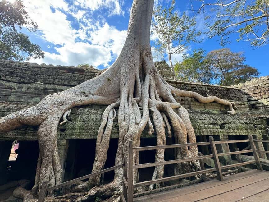 Siem Reap: Angkor Wat Tour with Italian-Speaking Guide - Timing, Crowds, and Rain: The Real Secret Sauce