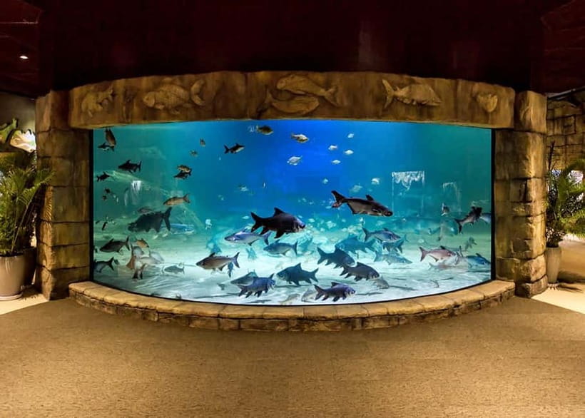 Siem Reap: Angkor Wildlife & Aquarium Entrance Ticket - What’s included in your ticket (and what isn’t)