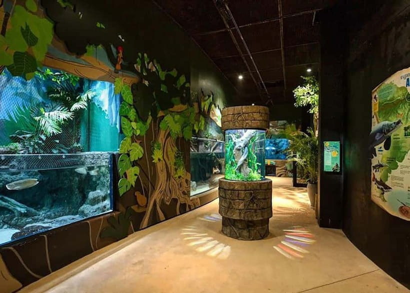 Siem Reap: Angkor Wildlife & Aquarium Entrance Ticket - How the shuttle works: morning and afternoon timing