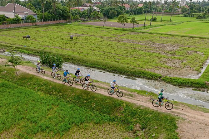Siem Reap Countryside Bike Tour / E-Bike or Tuk Tuk - The ride itself: trekking bikes, e-bikes, and what 15–20 km means