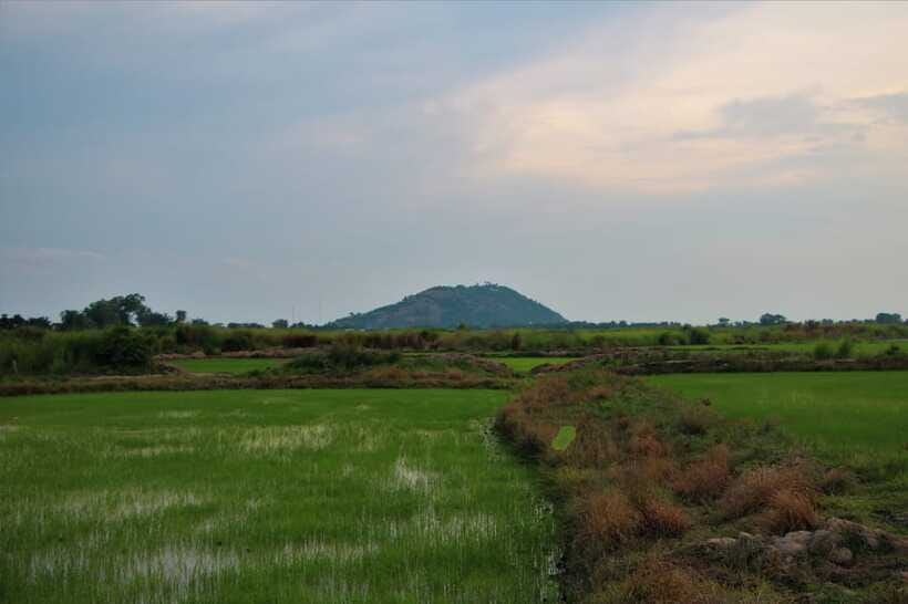 Siem Reap: Countryside Cycle and Local Village Life Tour - Village life chats that feel personal, not performative