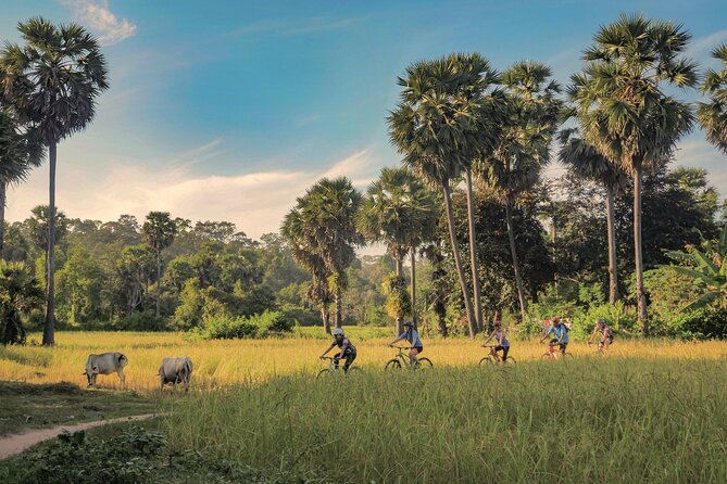 Siem Reap Countryside Guided Tour by Bike and E-Bike Private Tour - Key things I’d circle before you go