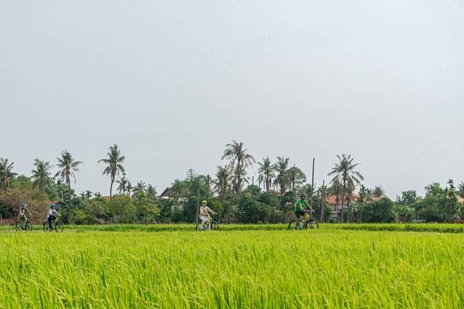 Siem Reap Countryside Sunset Bike Tour / E-Bike or Tuk Tuk - Quick takeaways